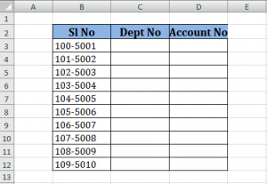 text to columns excel