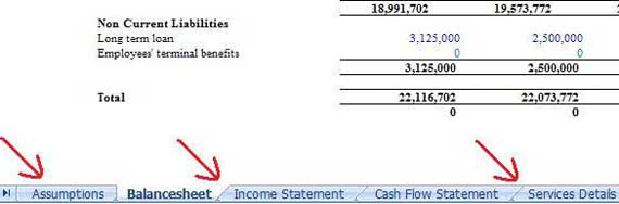  financials, business plan, balancesheet, income statement, cash flow statement